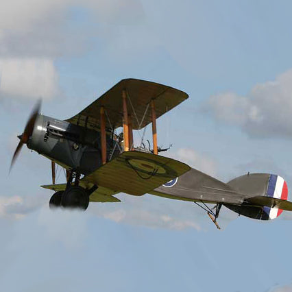 Bristol F.2B Radiators