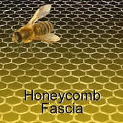 Honeycomb fascia